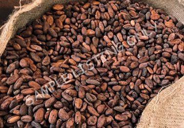 Ethiopia Cocoa Beans