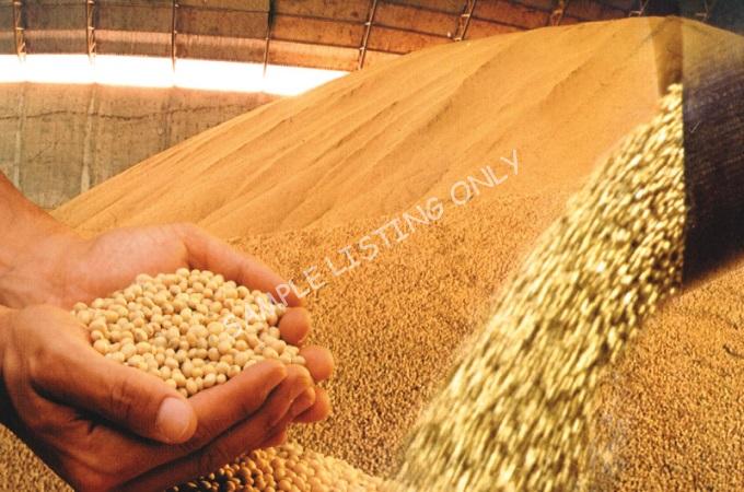 Fresh Dry Ethiopia Soya Beans